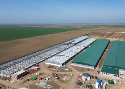 Pig Repro sertéstelep